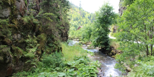 Die Steinachklamm liegt mitten im Frankenwald, hier gibt es viel zu entdecken.