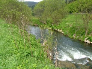 Angeln an der wilden Rodach – privates Fischgewässer – Natur pur