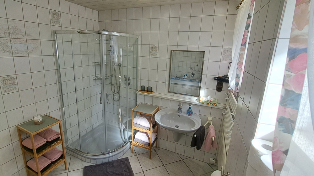 Im geräumigen Badezimmer sind Dusche und WC, ausgestattet mit Föhn, Handtuchtrockner, Toilettenpapier, Handtücher, Seife und Kosmetiktücher.