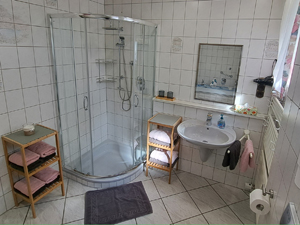 Im geräumigen Badezimmer sind Dusche und WC, ausgestattet mit Föhn, Handtuchtrockner, Toilettenpapier, Handtücher, Seife und Kosmetiktücher.