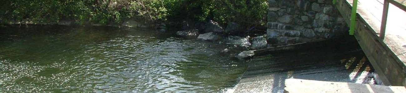 Angeln-an-der-wilden-Rodach Angeln an der wilden Rodach